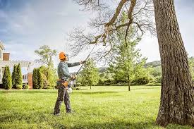 How Our Tree Care Process Works  in  Centre Hall, PA